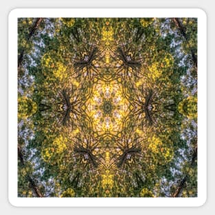 Kaleidoscopic Rainforest Sticker